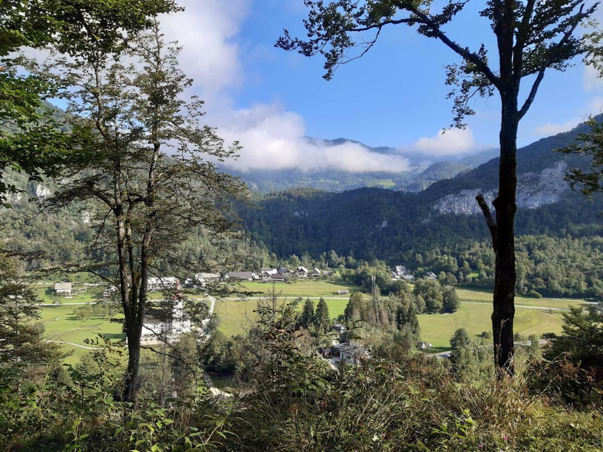 Apartmán Soba Mia Bohinj Exteriér fotografie