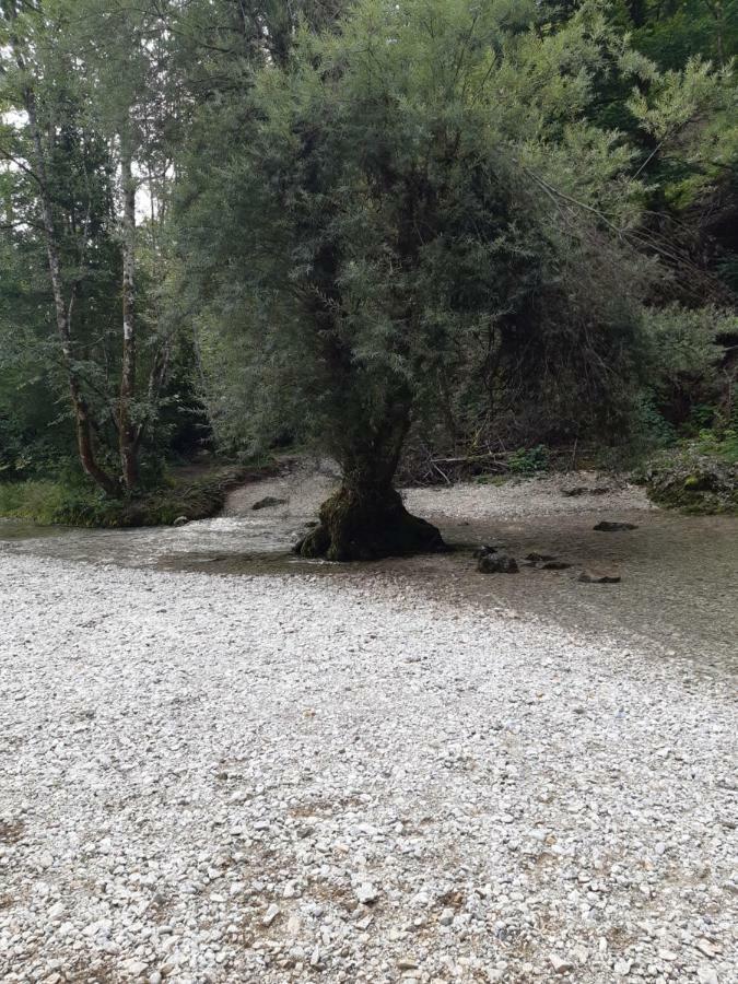 Apartmán Soba Mia Bohinj Exteriér fotografie